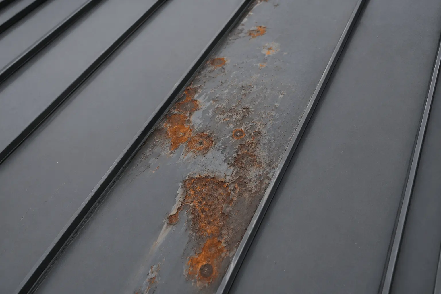 Rust or Corrosion Repair Area